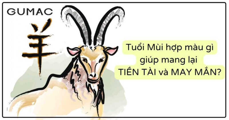 tuổi mùi kỵ màu gì